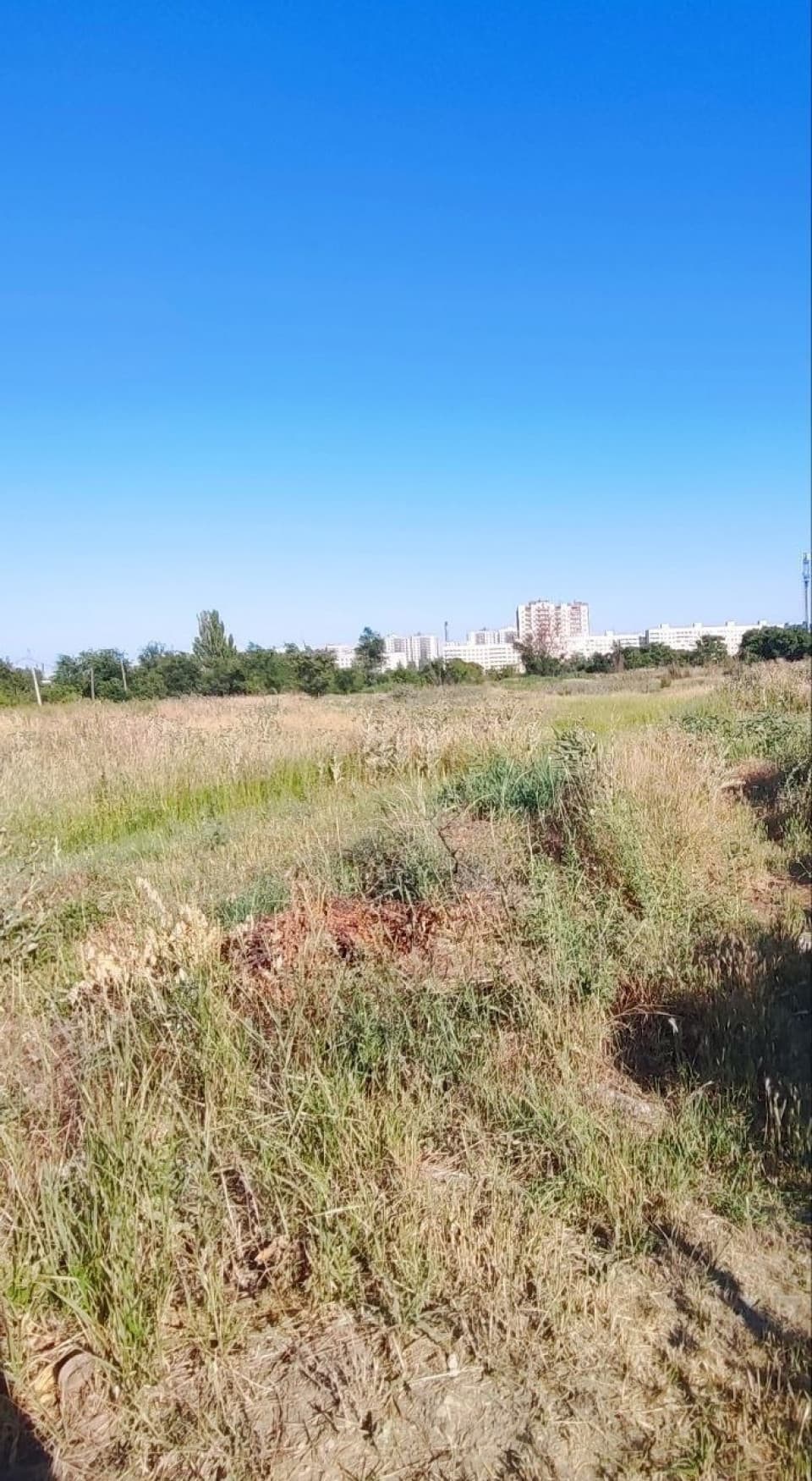 Фото объявления 1