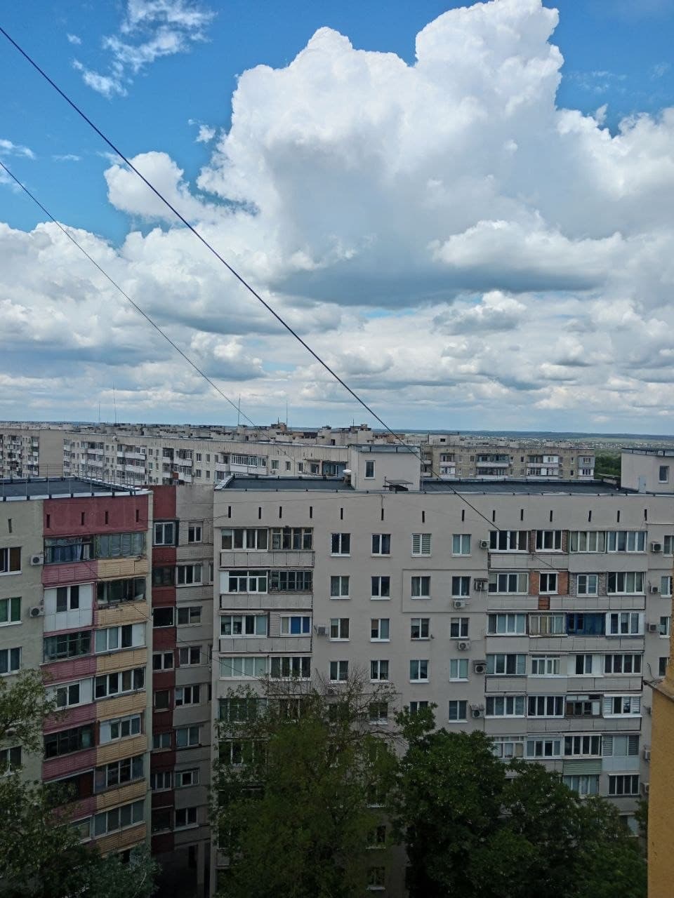 Фото объявления 1