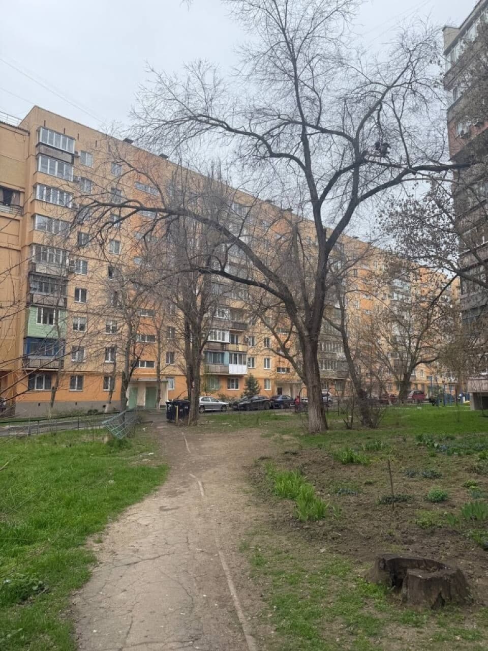 Фото объявления 4