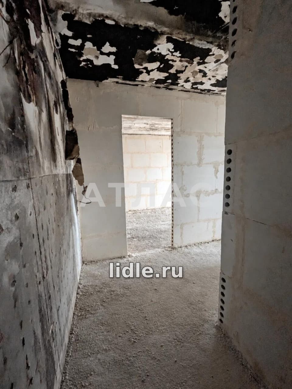 Фото объявления 3