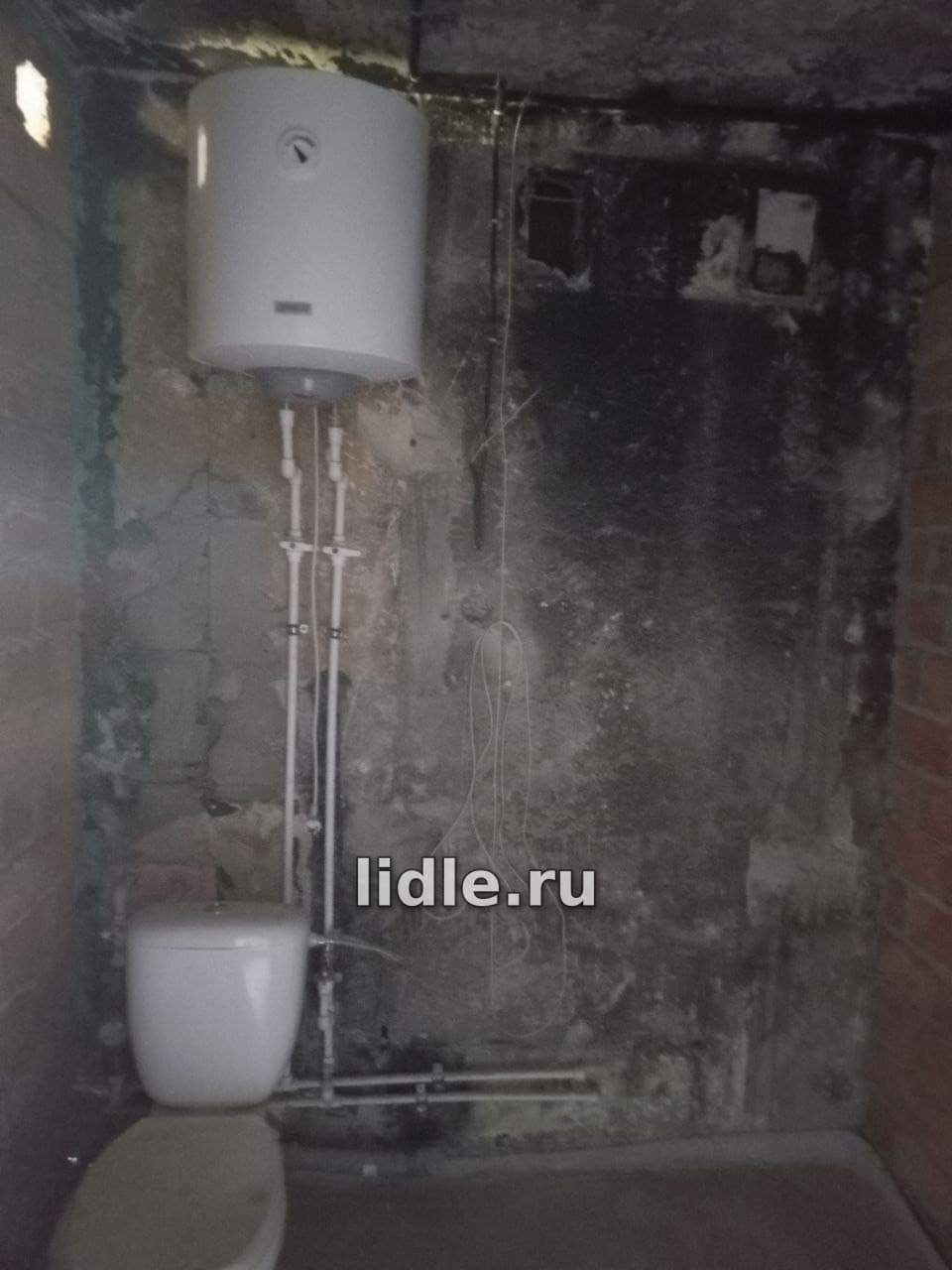 Фото объявления 7