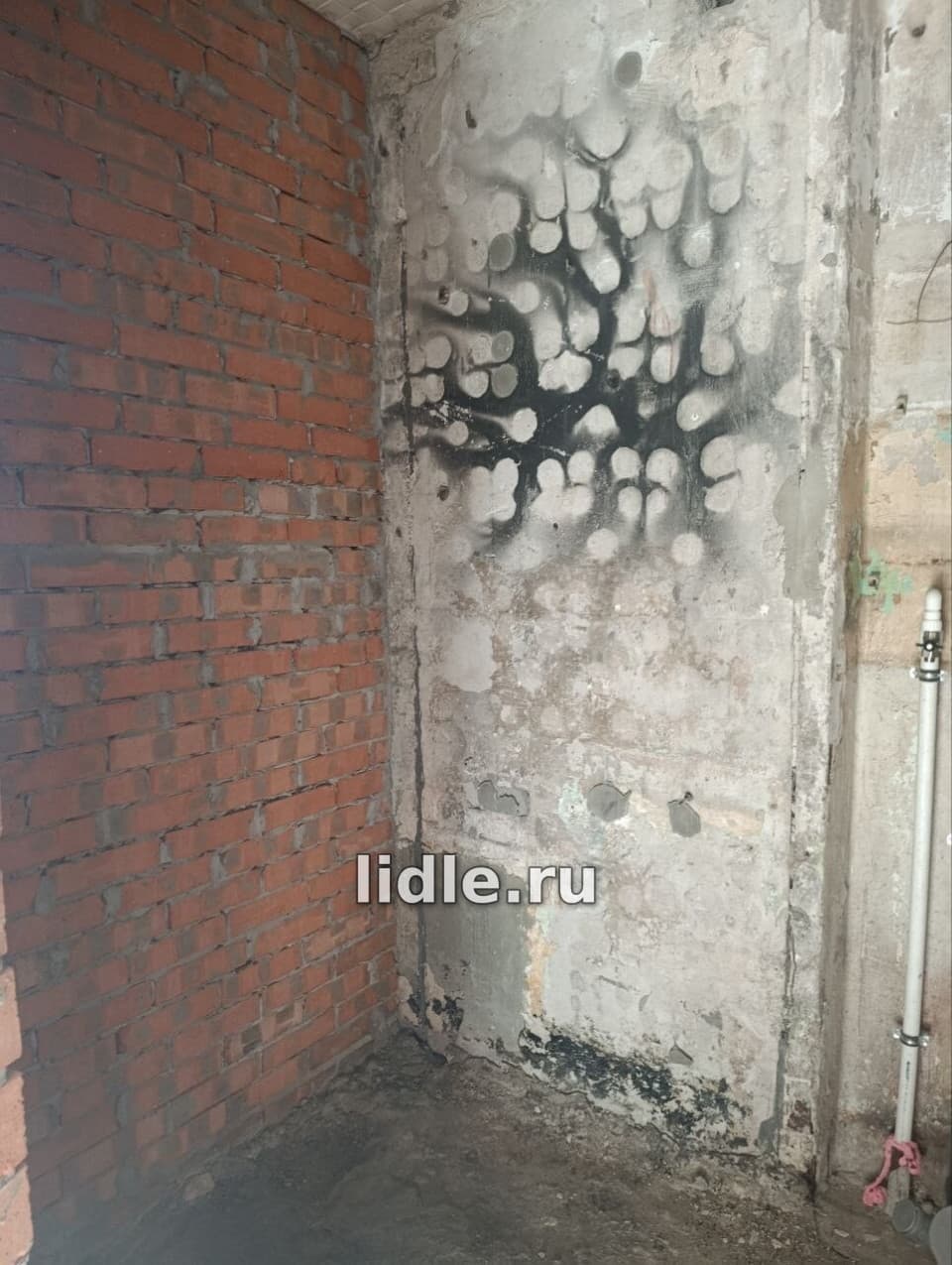 Фото объявления 7