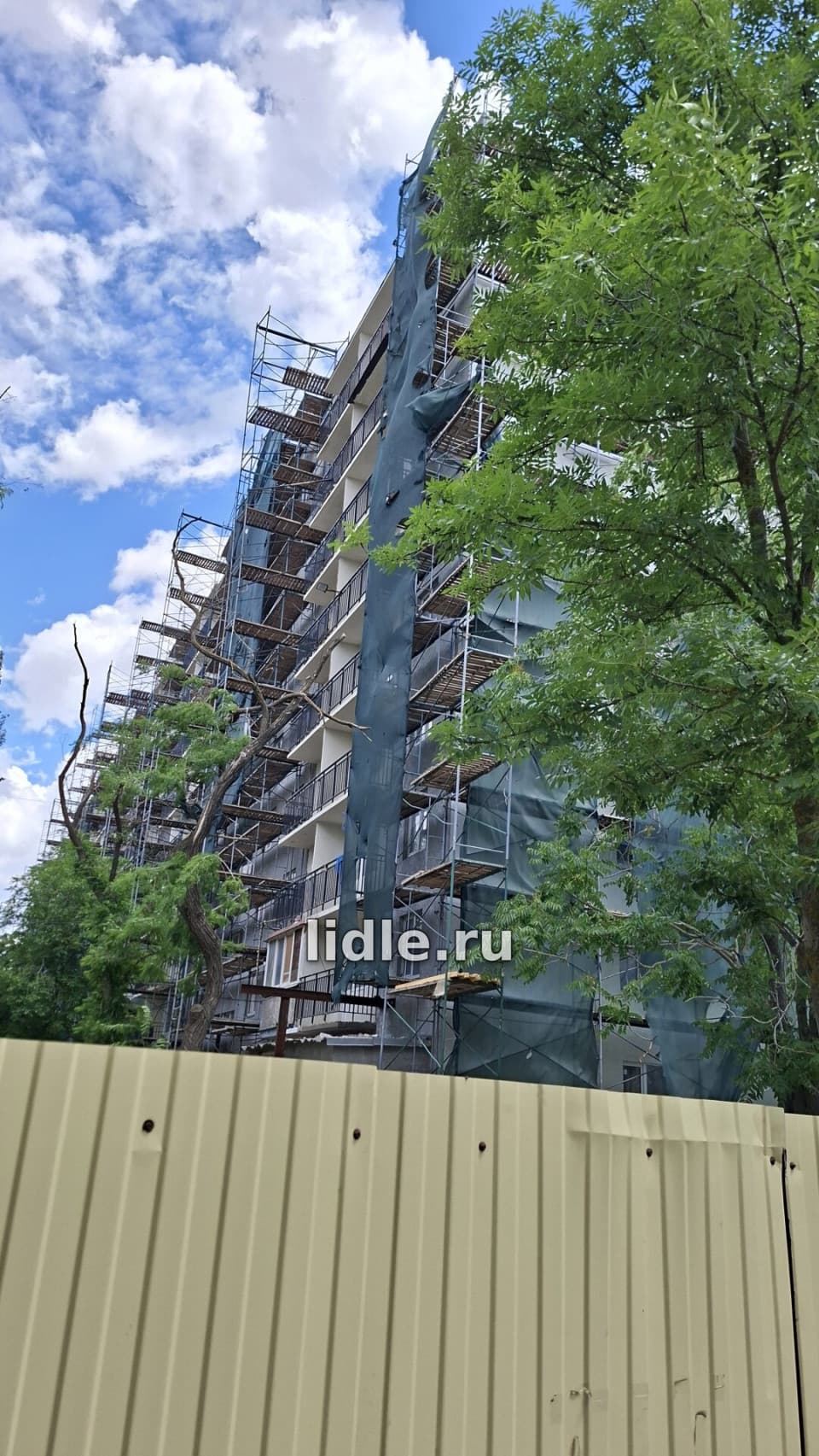 Фото объявления 3