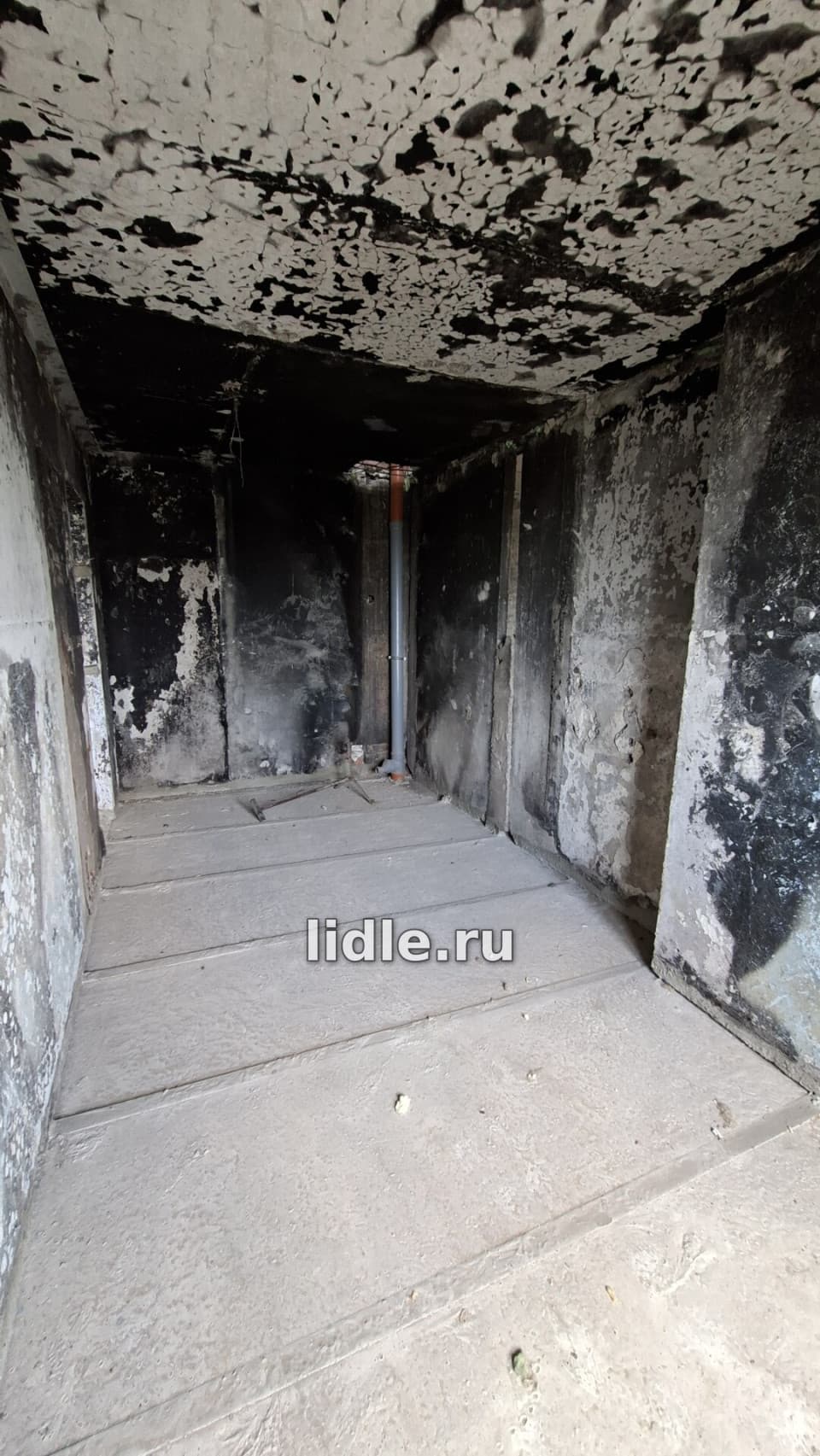 Фото объявления 12