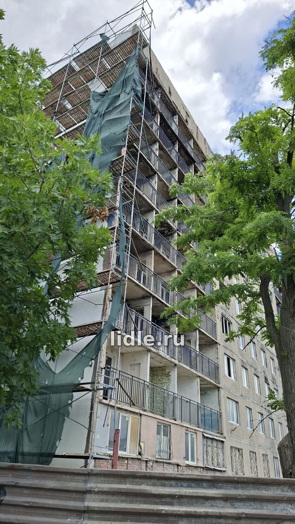 Фото объявления 5