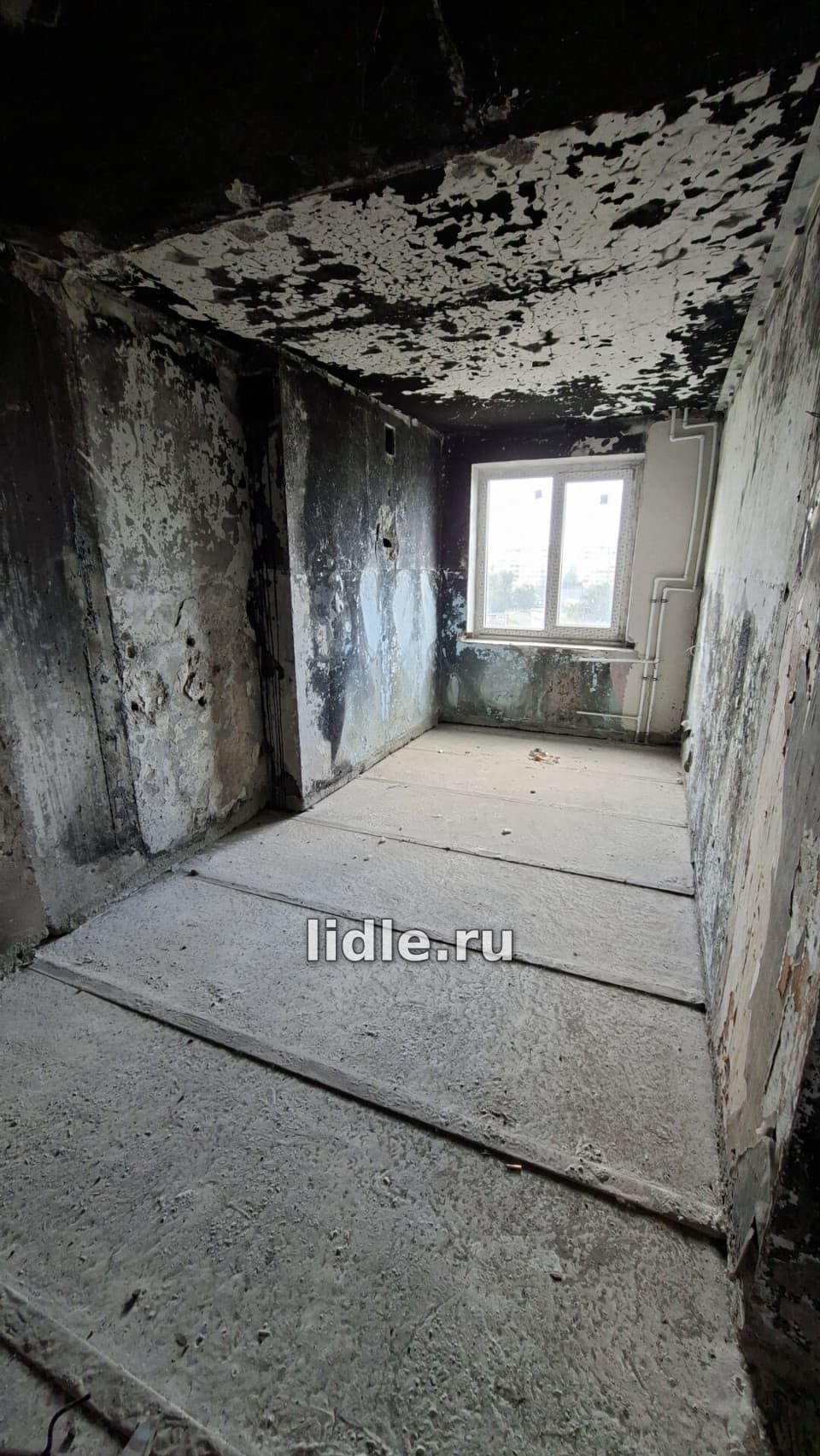 Фото объявления 11