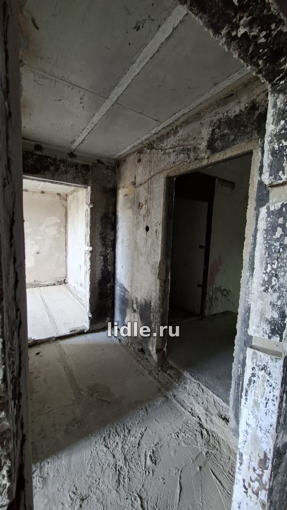 Фото объявления 15