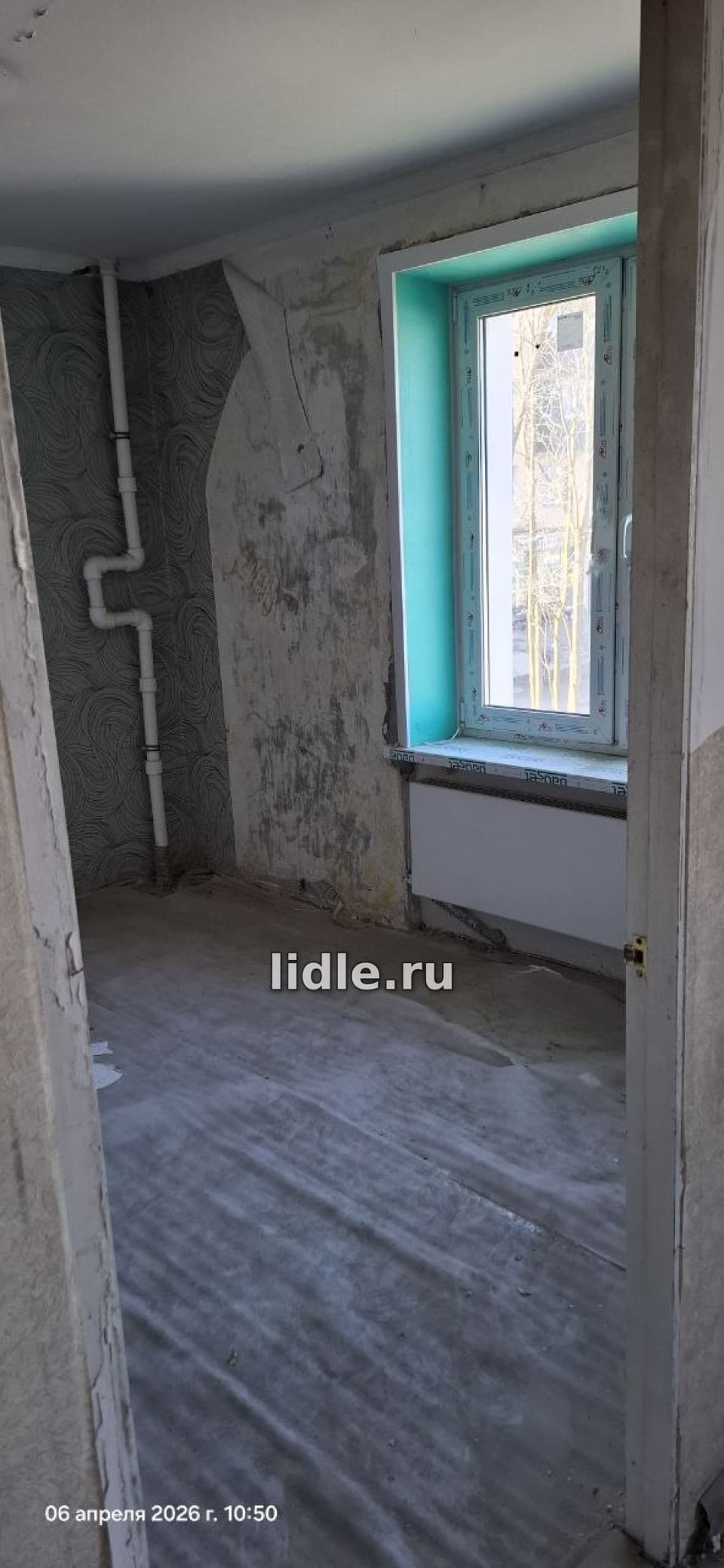 Фото объявления 6
