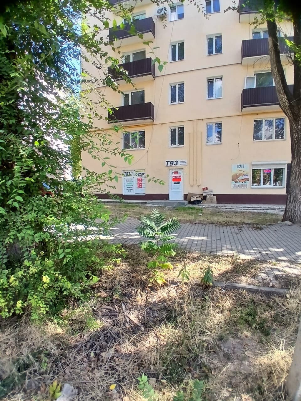 Фото объявления 6