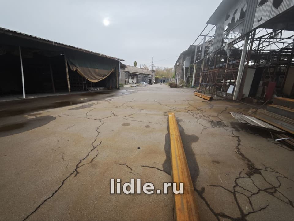 Фото объявления 5