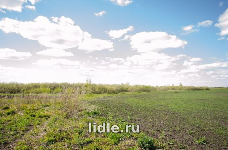 Фото объявления 1