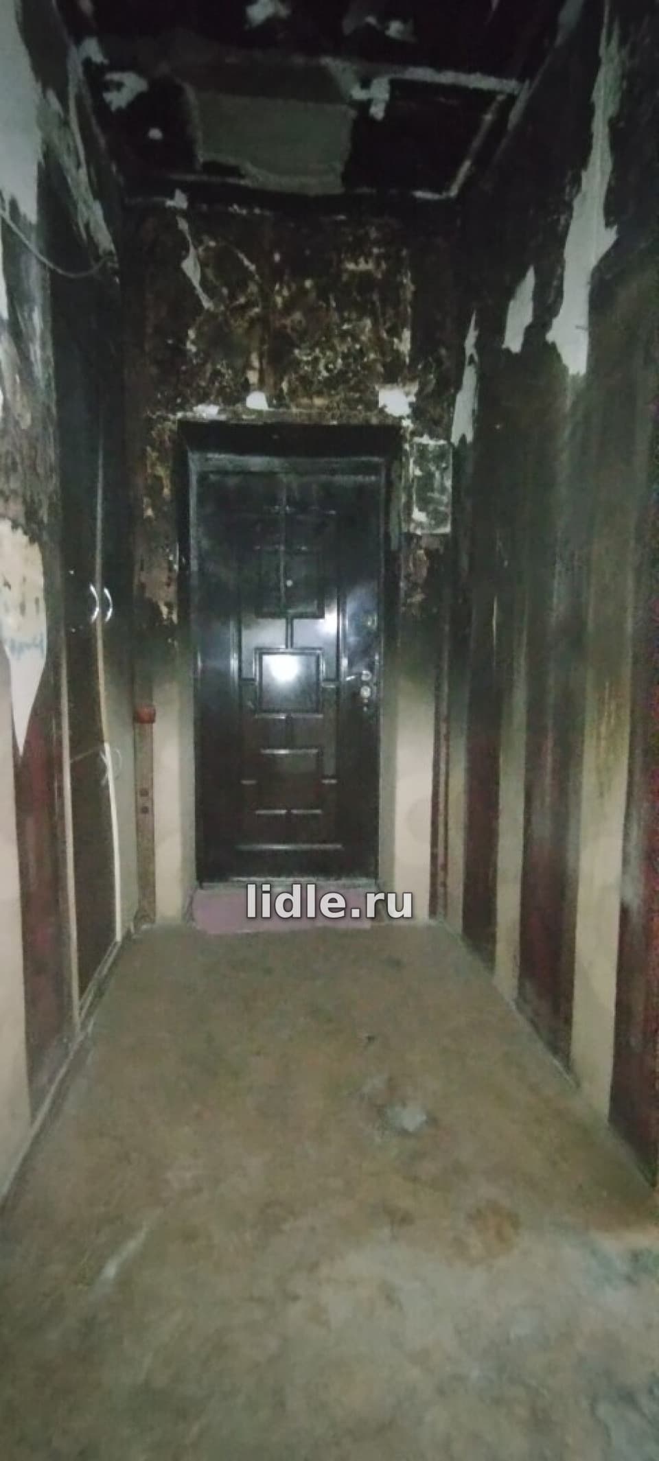 Фото объявления 12