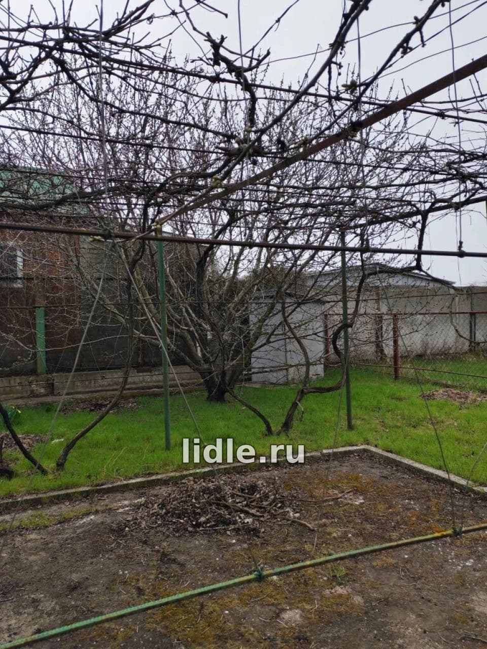 Фото объявления 4
