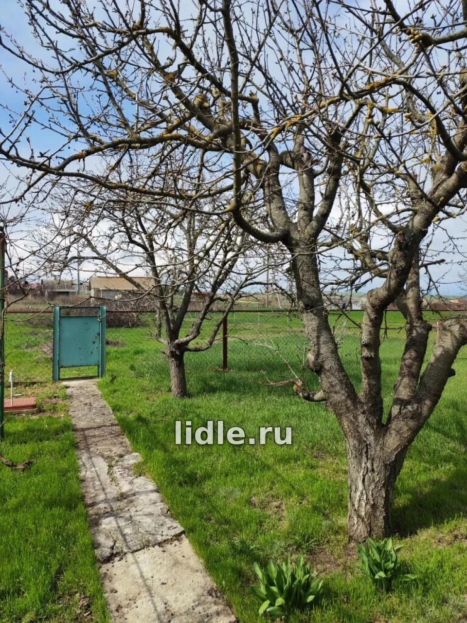 Фото объявления 2