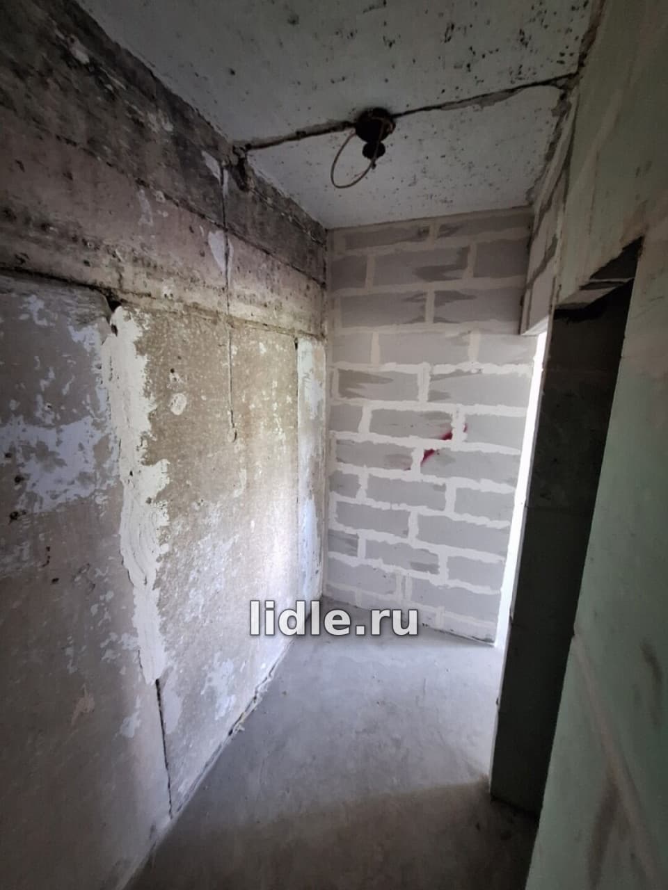Фото объявления 5