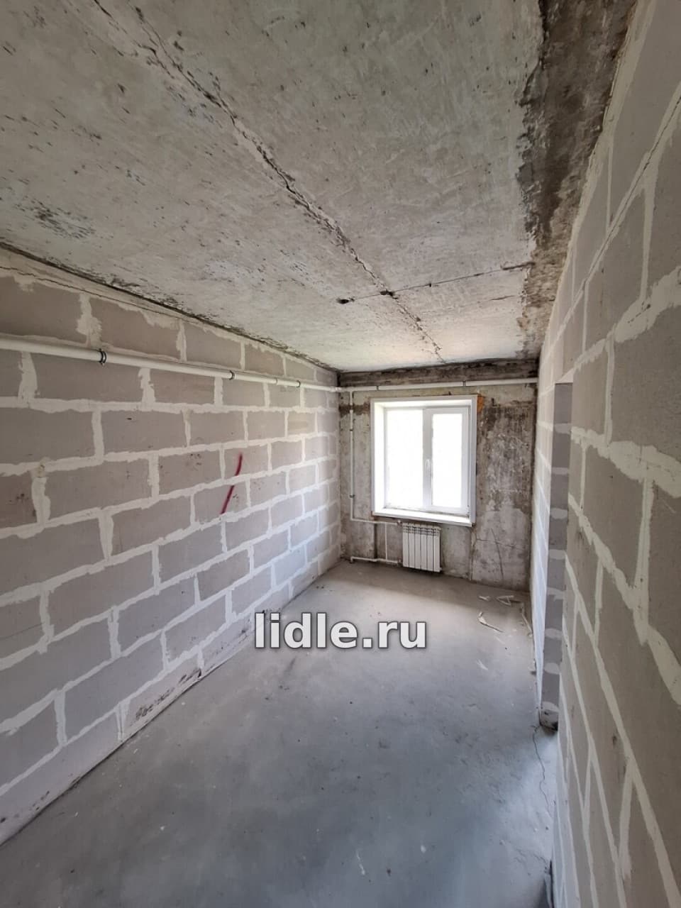Фото объявления 3