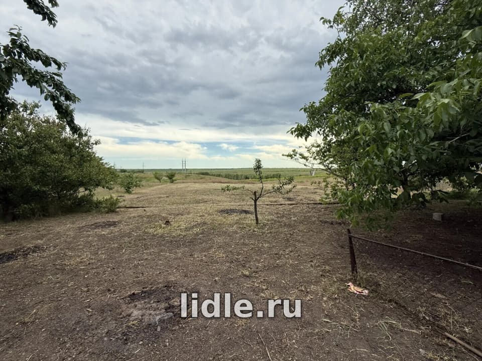 Фото объявления 13