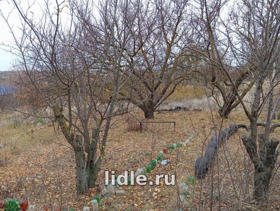 Фото объявления 1