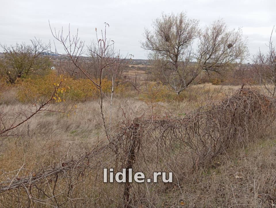 Фото объявления 3