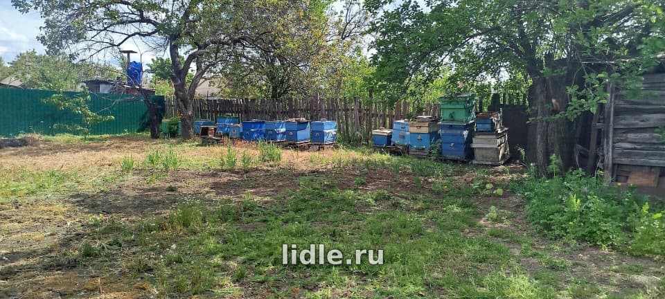 Фото объявления 6