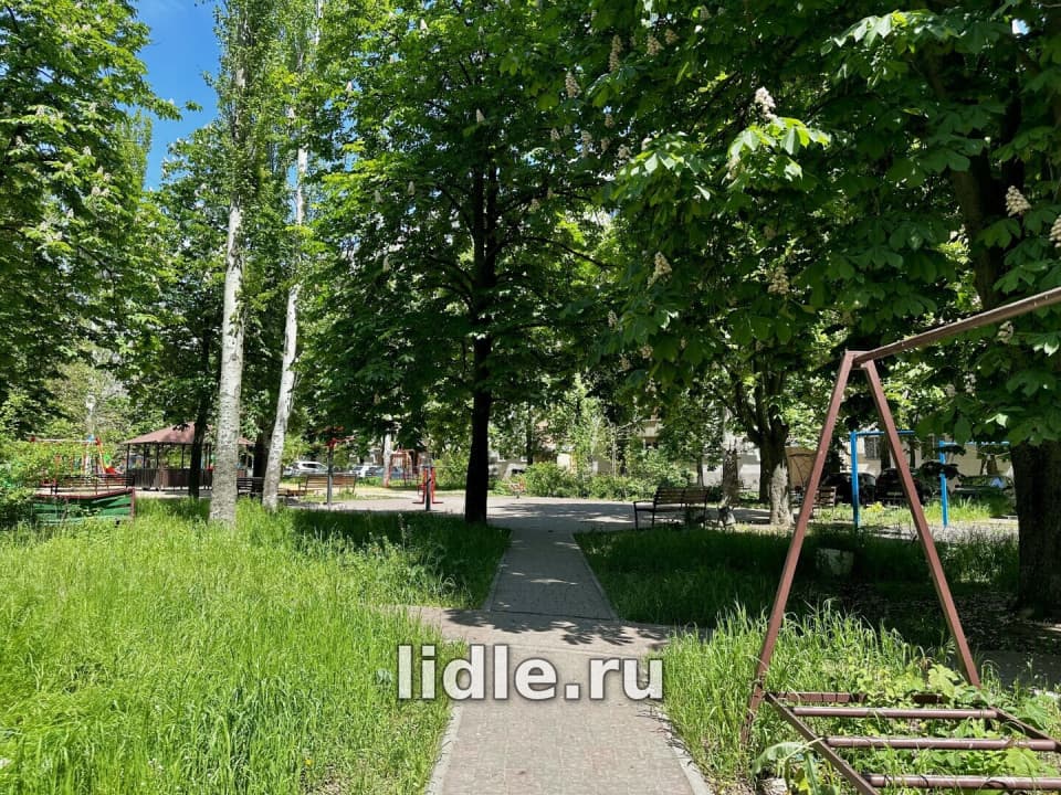 Фото объявления 8