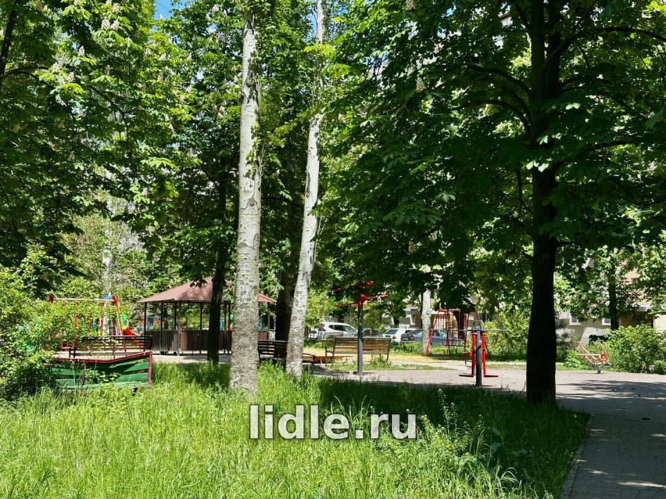Фото объявления 9