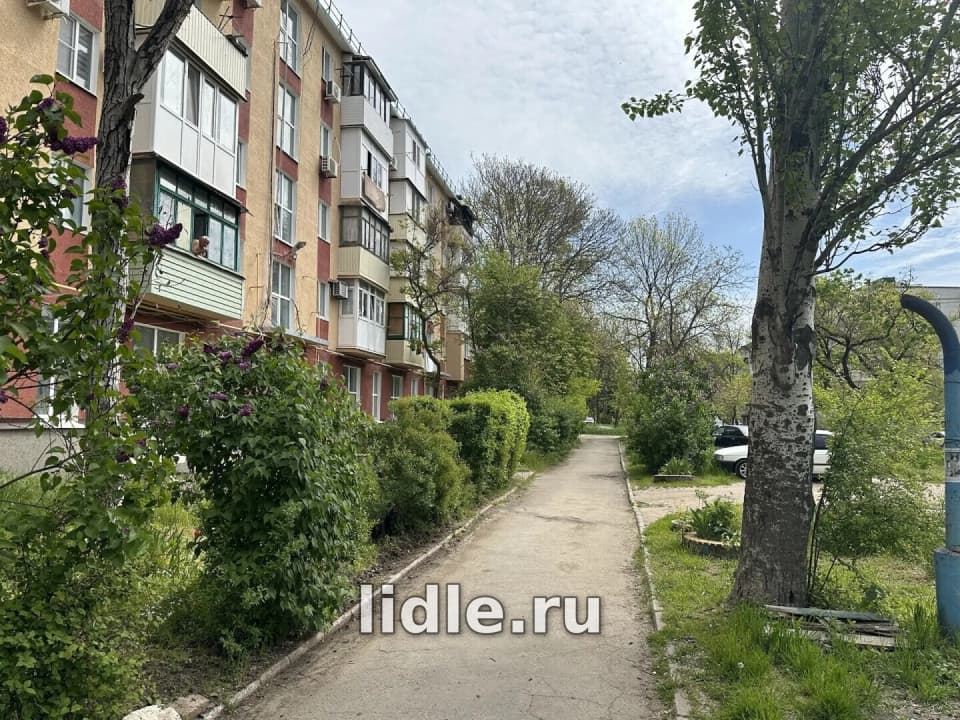 Фото объявления 7
