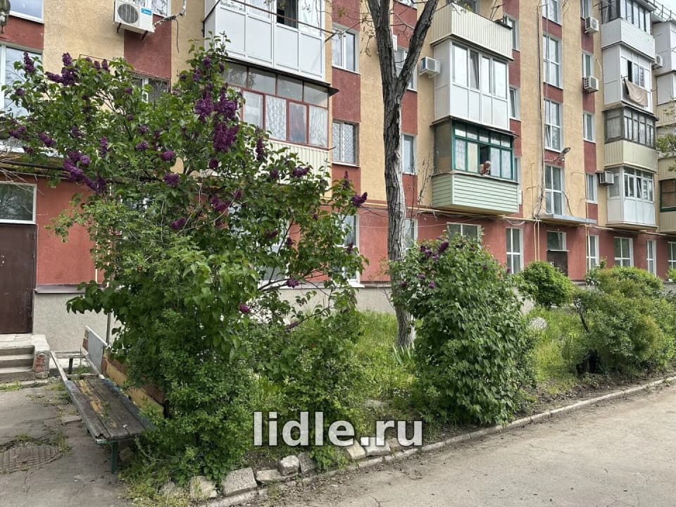 Фото объявления 10
