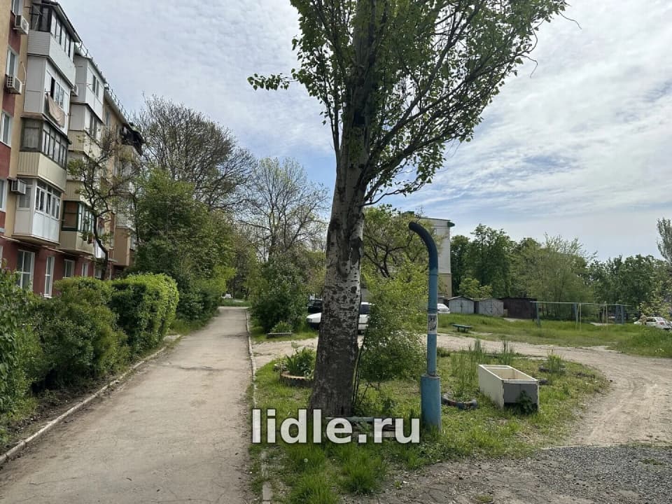 Фото объявления 9