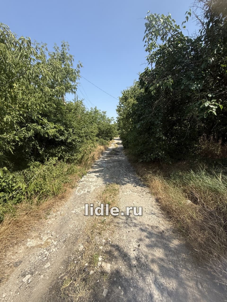 Фото объявления 2