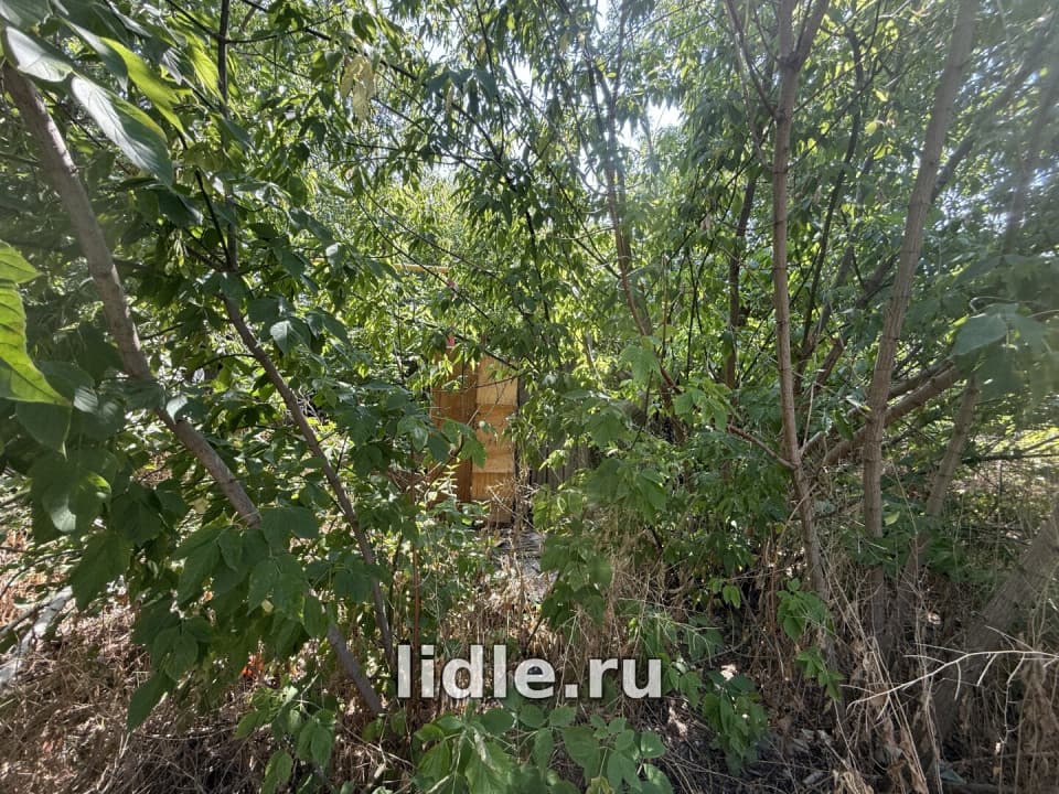 Фото объявления 3