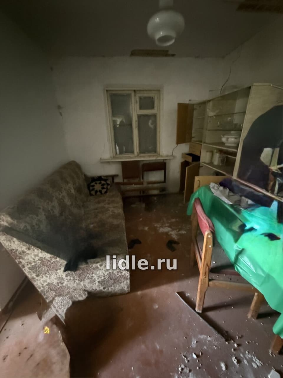 Фото объявления 10