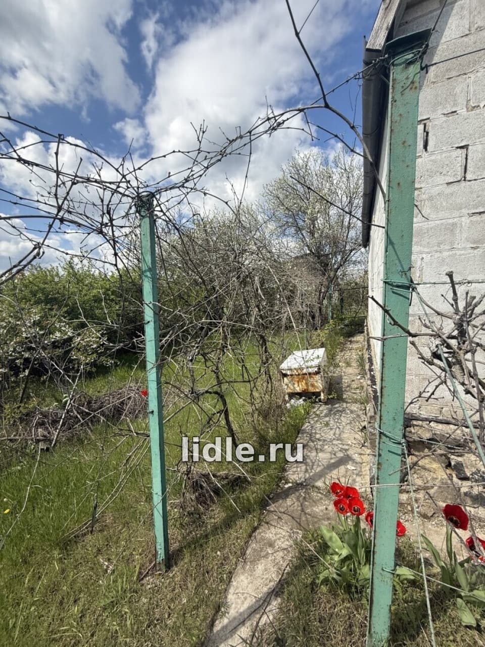 Фото объявления 11