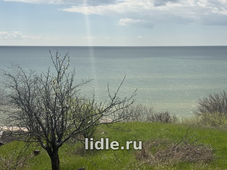 Фото объявления 1