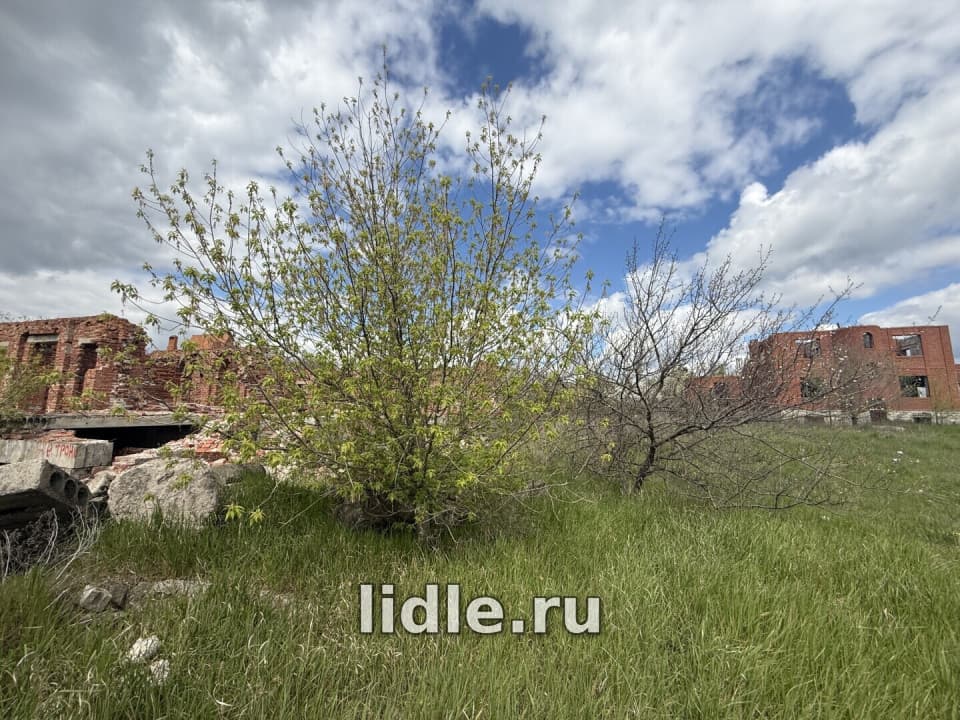 Фото объявления 4