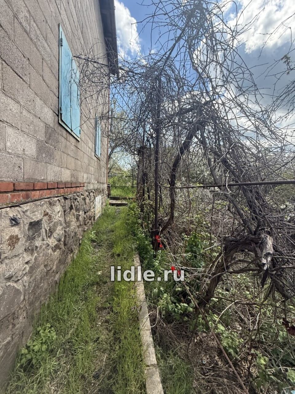 Фото объявления 14