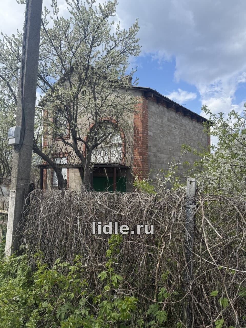 Фото объявления 3