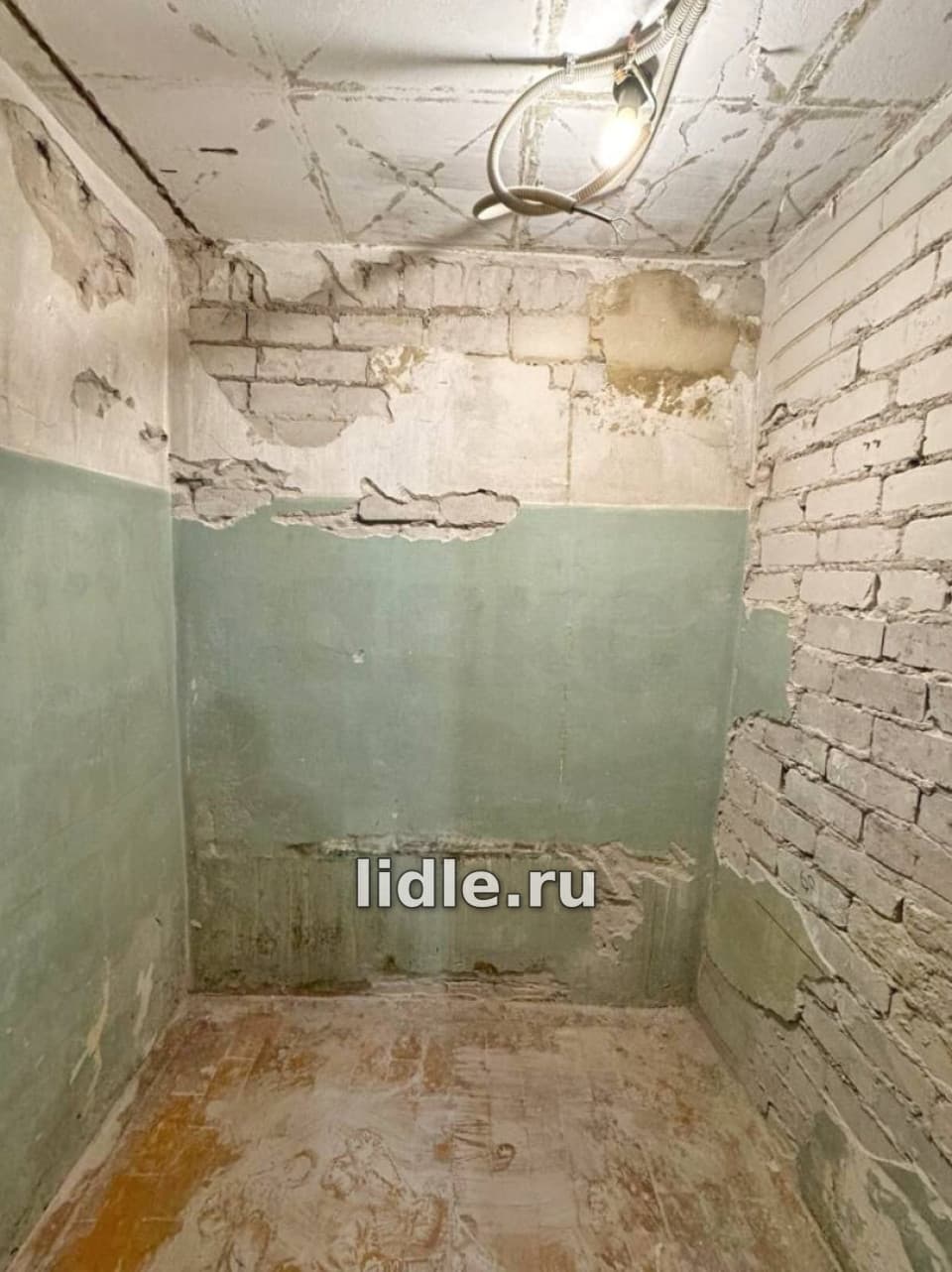 Фото объявления 15