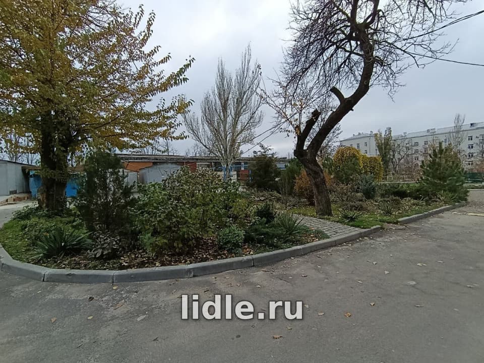 Фото объявления 11