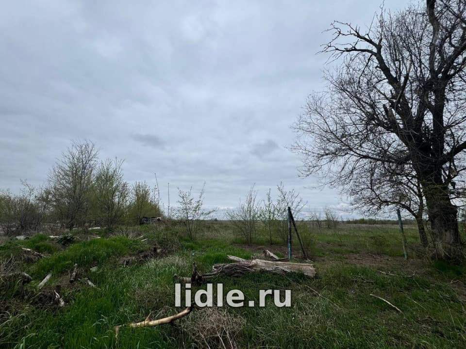 Фото объявления 1