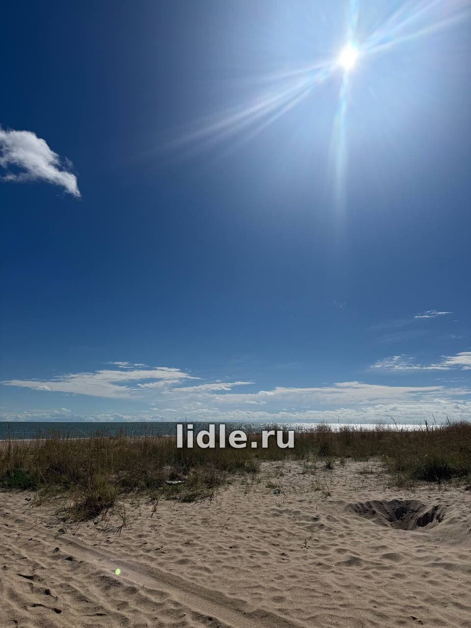 Фото объявления 1