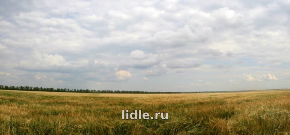 Фото объявления 1