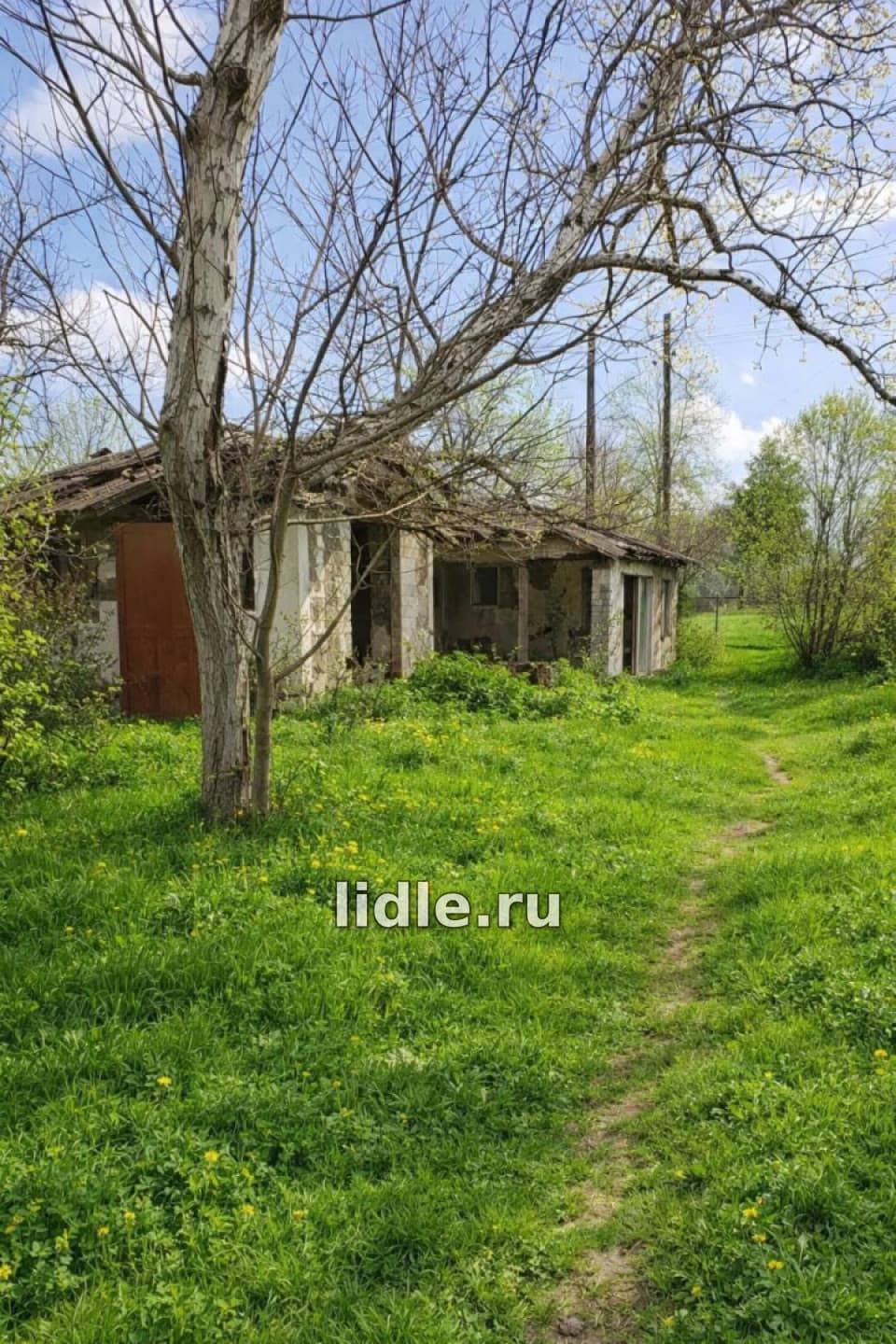 Фото объявления 1