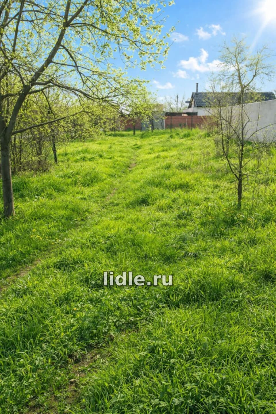 Фото объявления 4