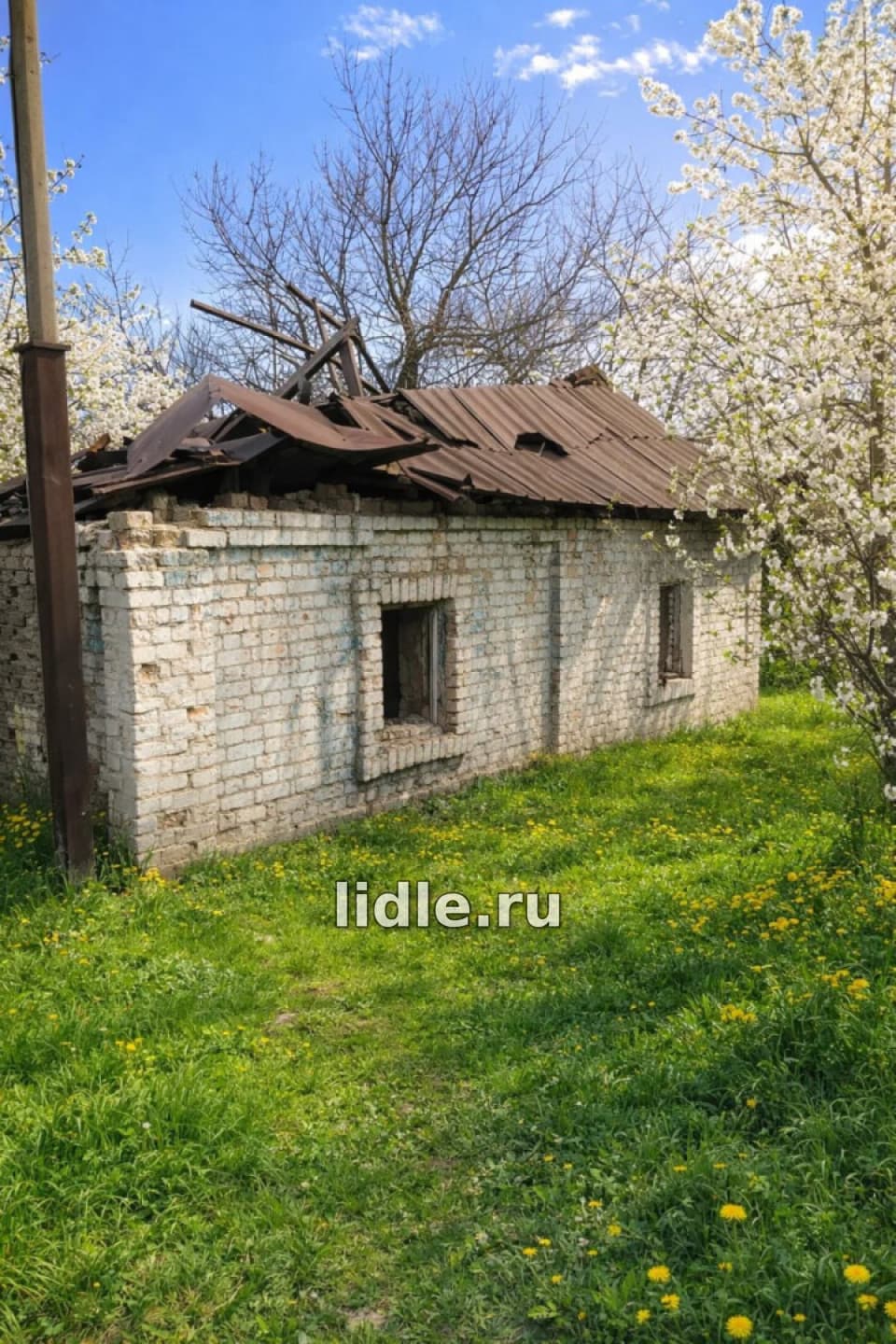 Фото объявления 2
