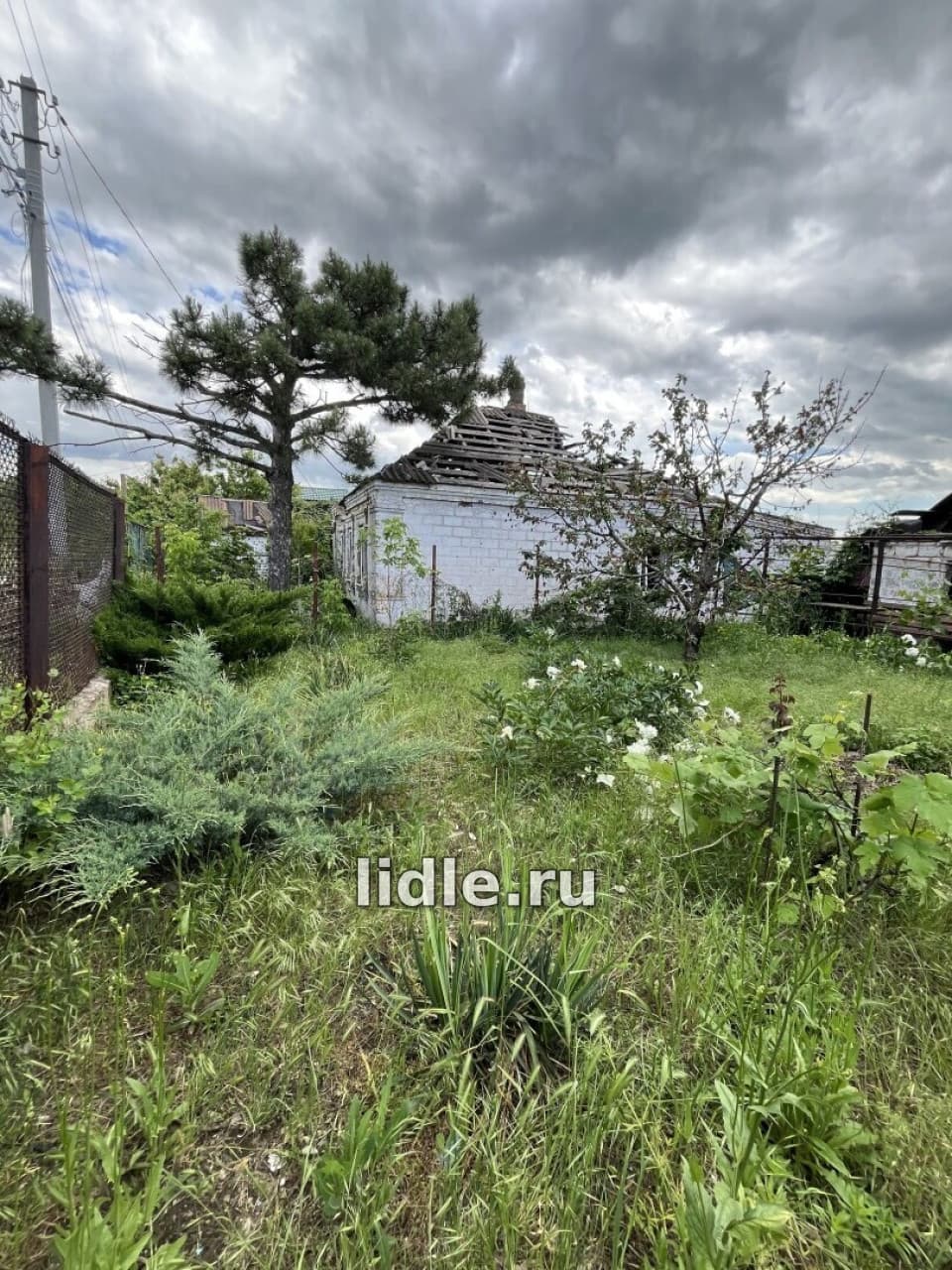 Фото объявления 3