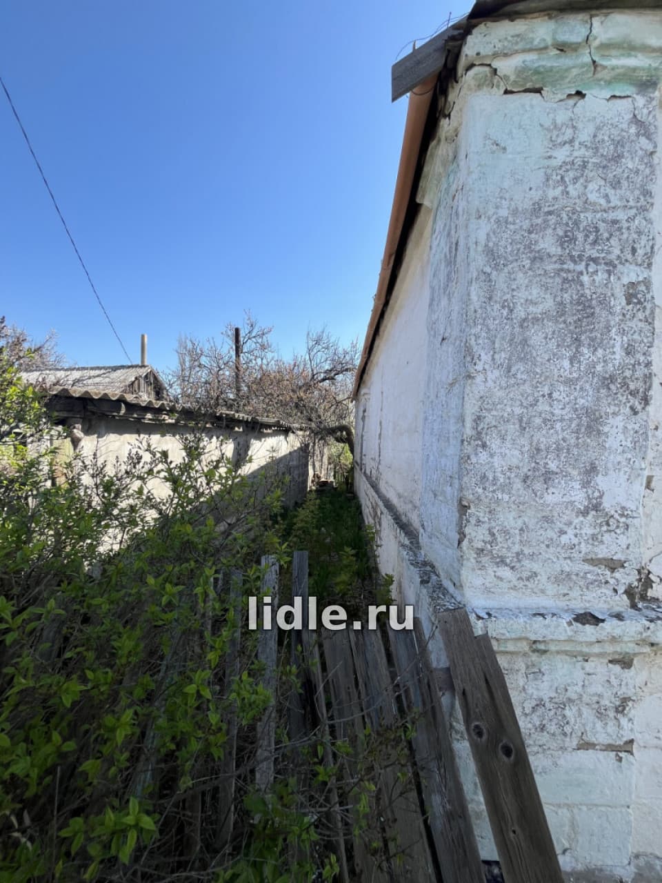 Фото объявления 7