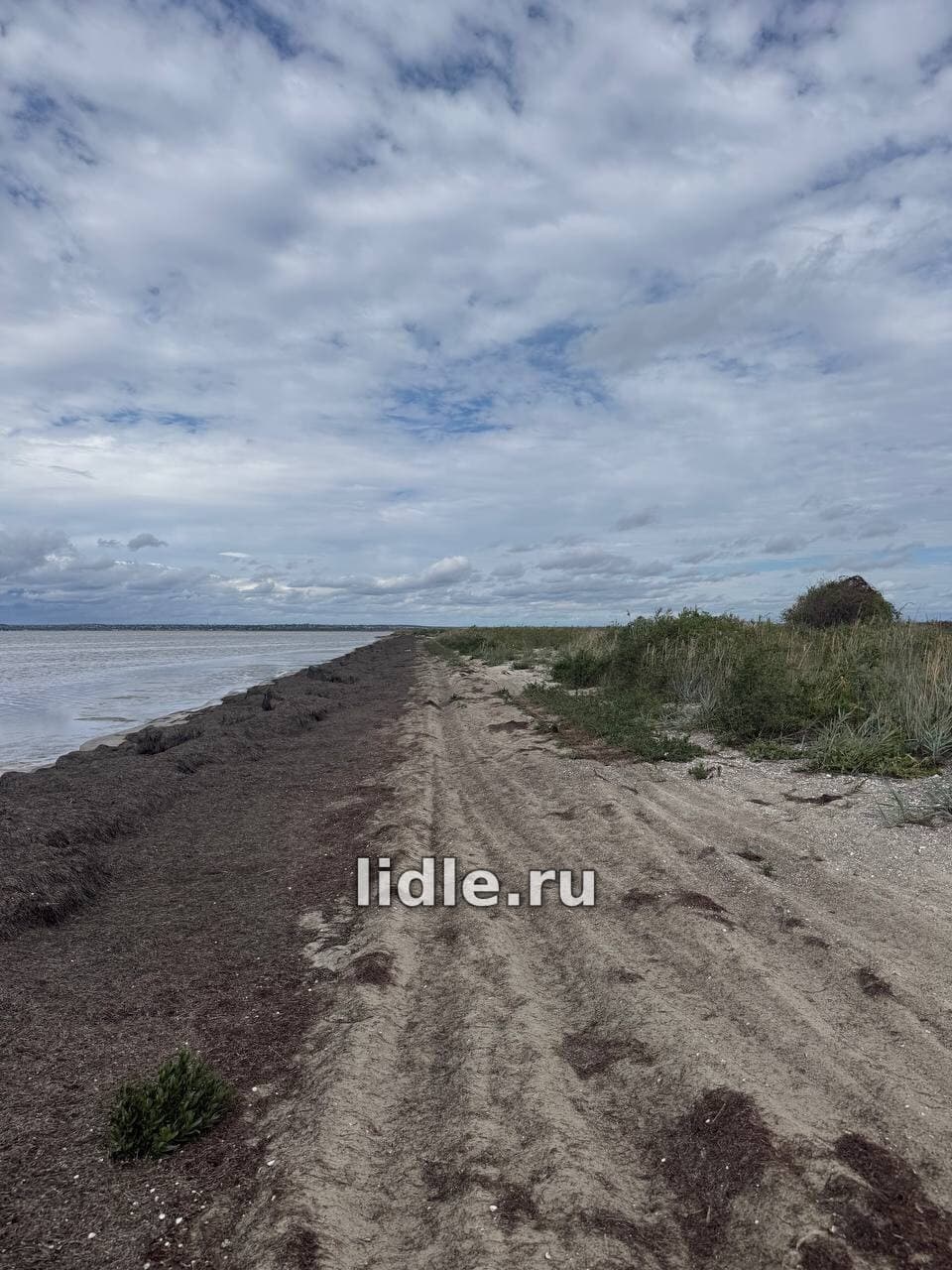 Фото объявления 2