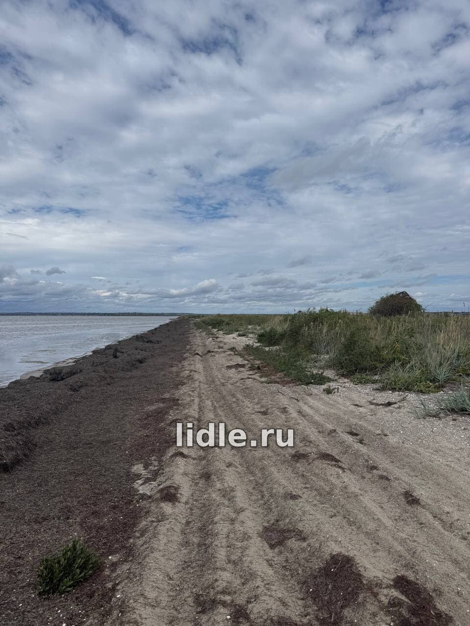 Фото объявления 3