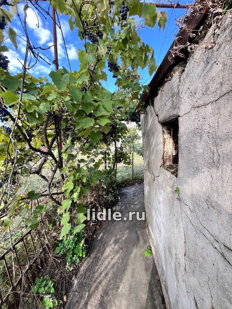 Фото объявления 12